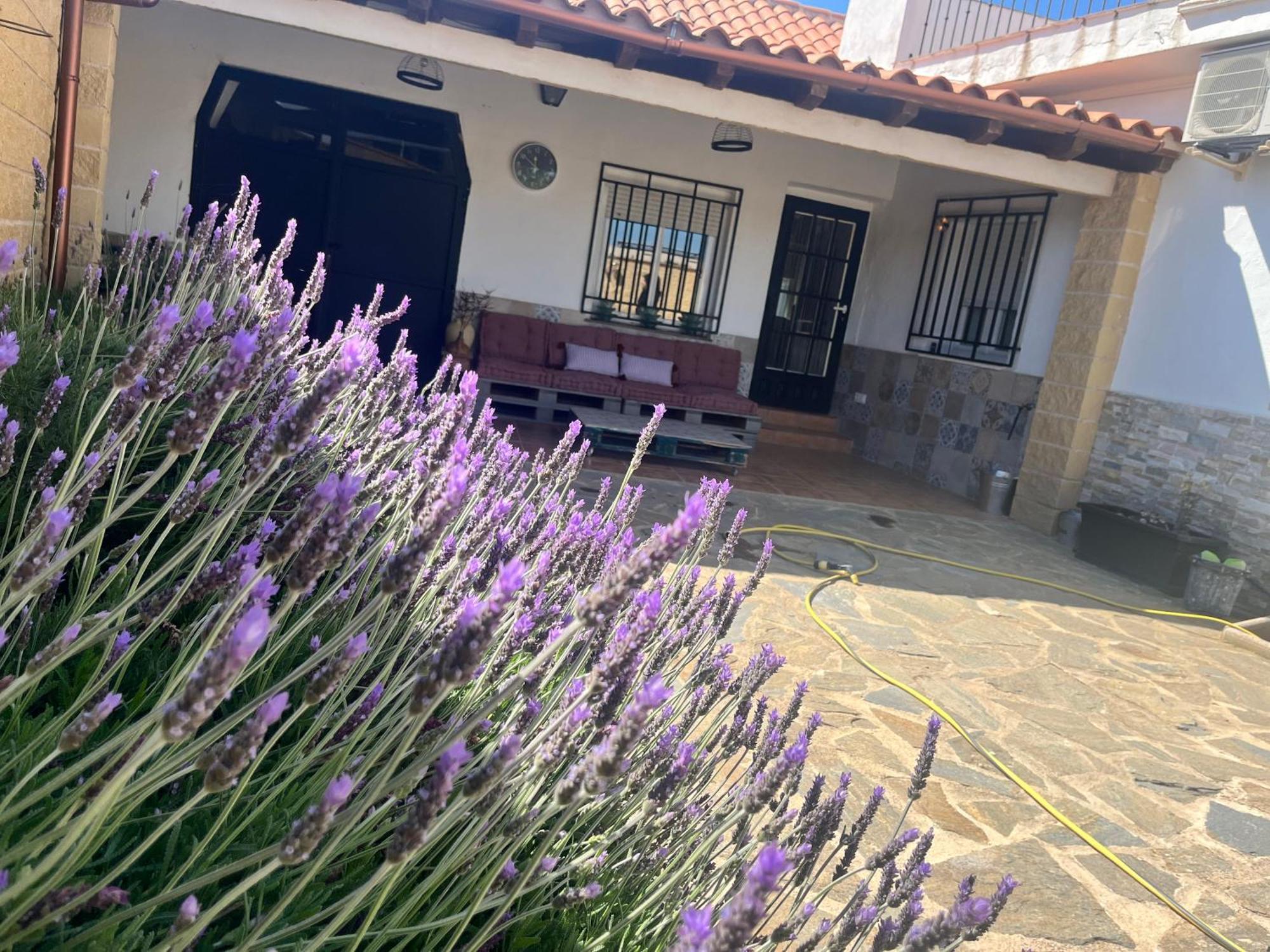 Casa Rural Valentina Almonacid de Toledo Екстер'єр фото
